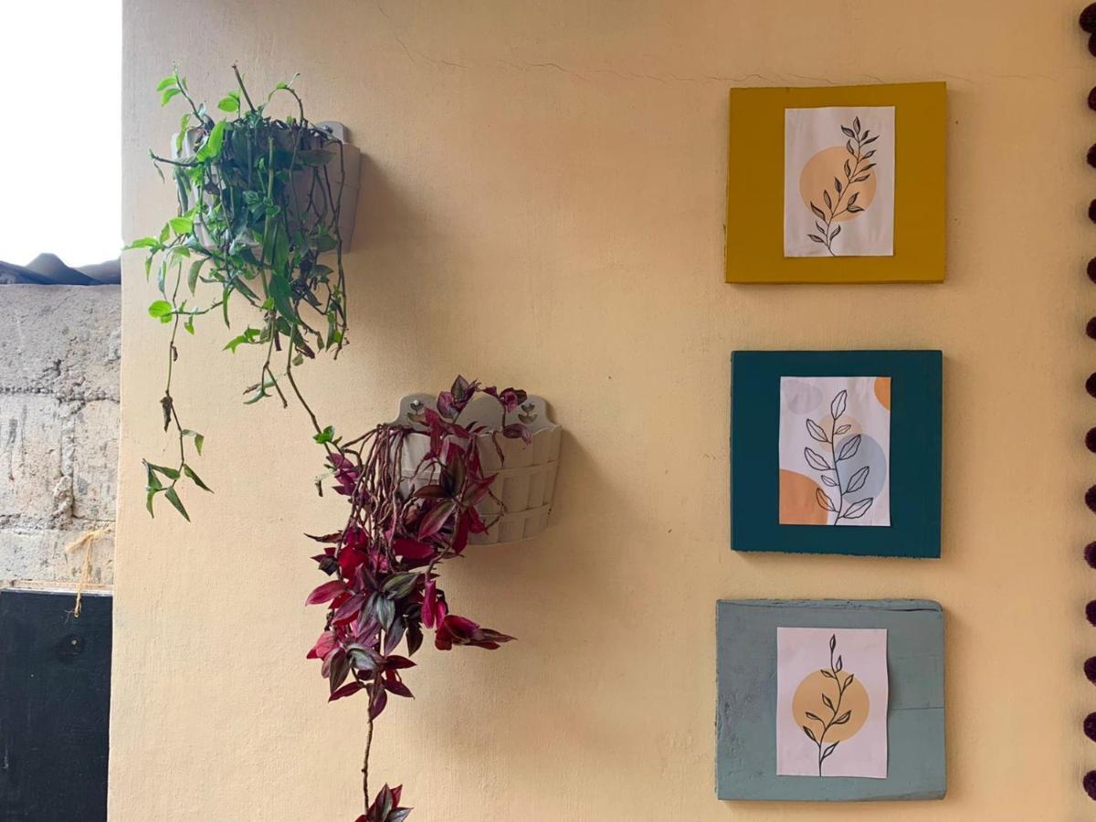 Hostal 23 San Cristóbal de Las Casas المظهر الخارجي الصورة